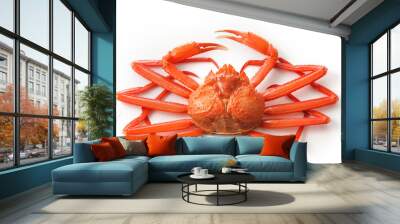 白い背景の上の北海道産紅ずわい蟹　Snow crab on white background Wall mural